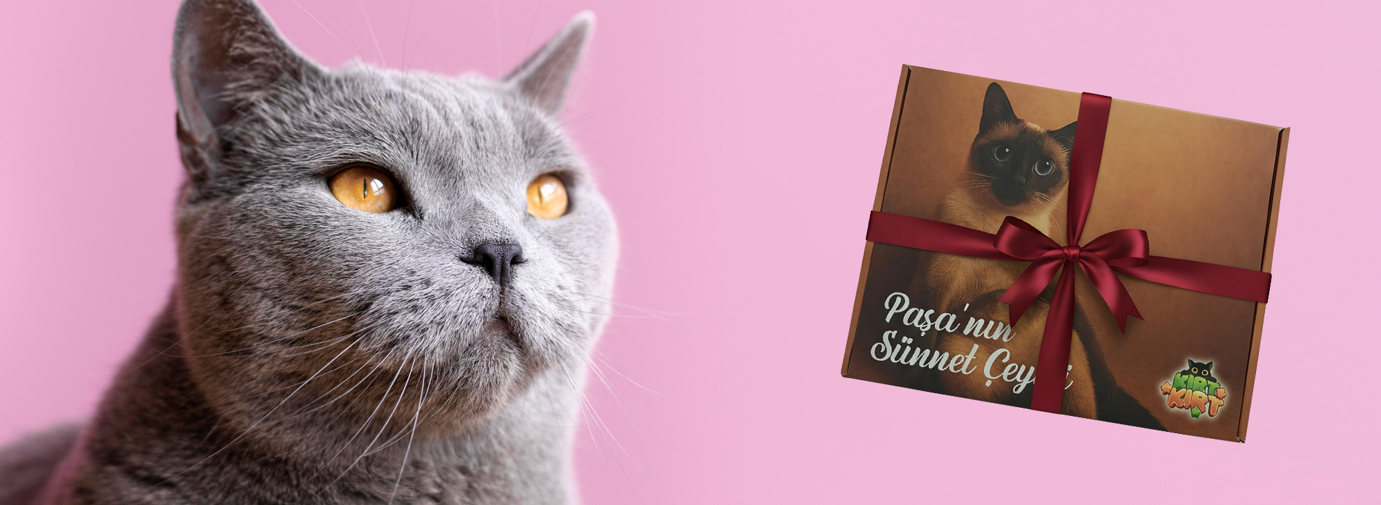 Her Şey Onlar İçin...