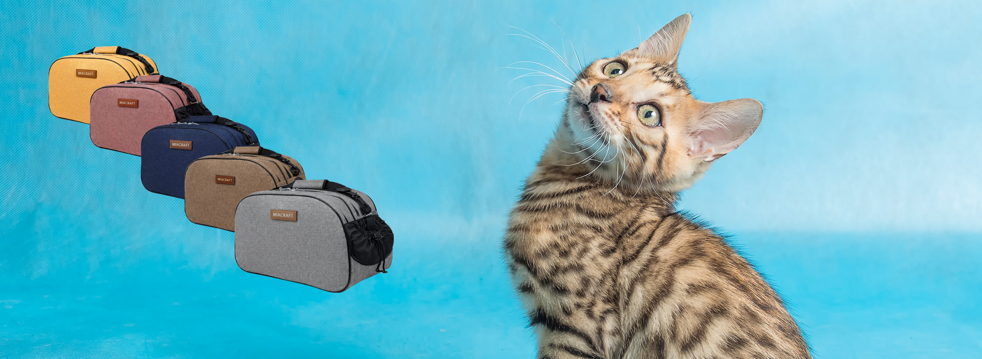 Bir Tırmalama Kartonundan Daha Fazlası