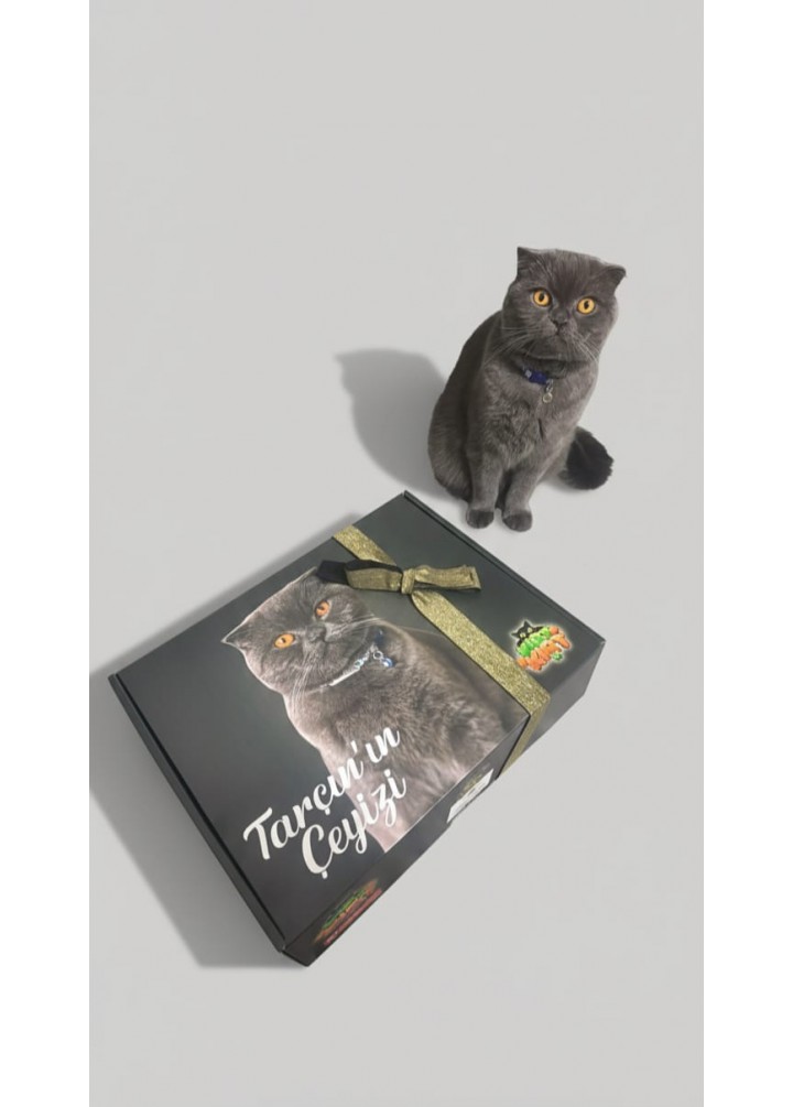 Kedinize Özel Çeyiz Kutusu