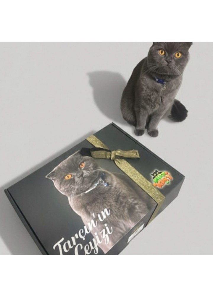 Premium Kedi  Özel Çeyiz Kutusu