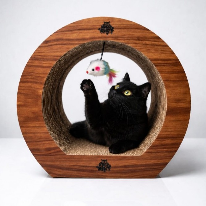 Kedi Tüneli