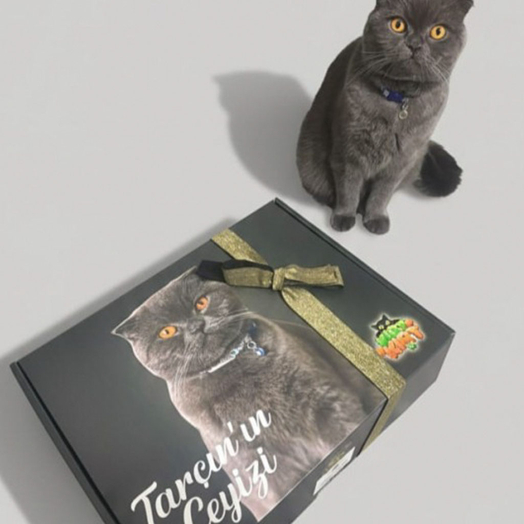 Pet Çeyiz Kutusu